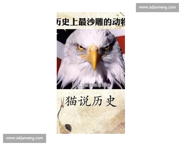 山林霸权之争猫与鹰的生死对决揭示残酷自然法则深层生态逻辑