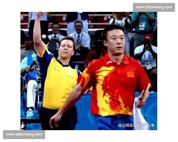 一场跨时代的乒坛巅峰对决瓦尔德内尔与刘国梁的智慧博弈史全纪录