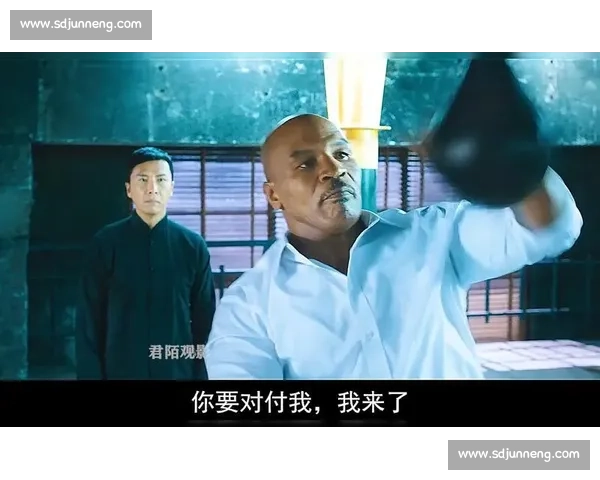 叶问三巅峰对决甄子丹硬撼泰森拳王传奇之战银幕世纪功夫与力量碰撞