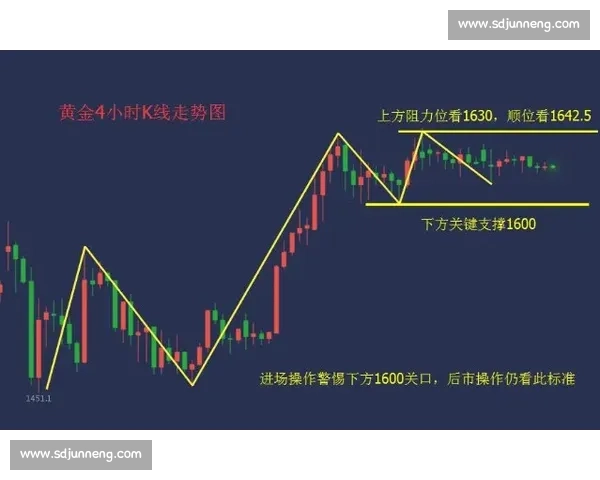 深度解析瓦勒伦加对阵埃尔沃吕比赛走势与胜负关键因素全景剖析篇